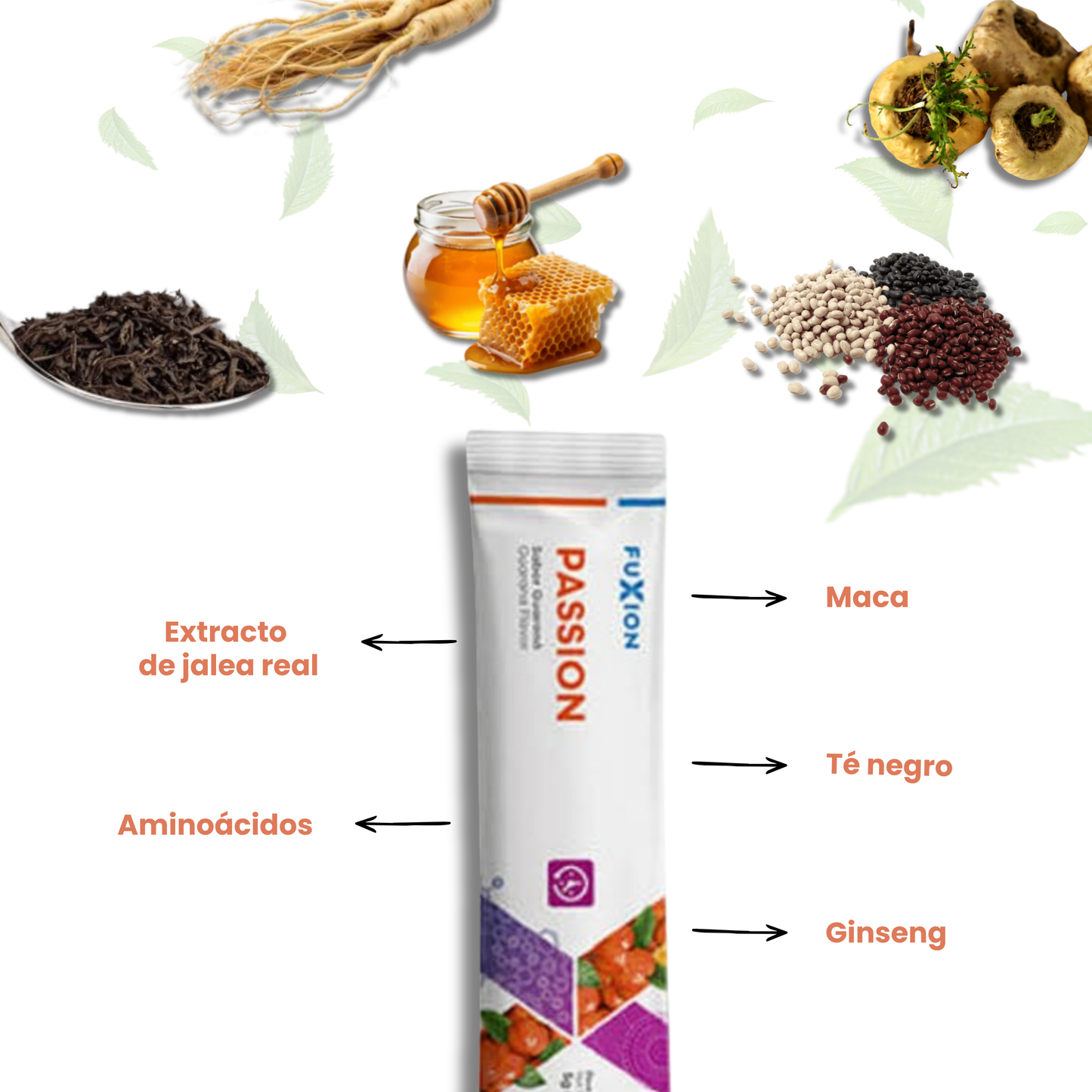 PASSION de FuXion – Vitalidad y Energía 🫶💖